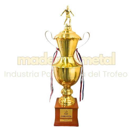 Imagen de Copa de metal con tapa - M5.3055